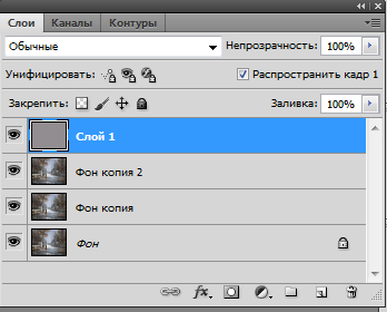 layer1